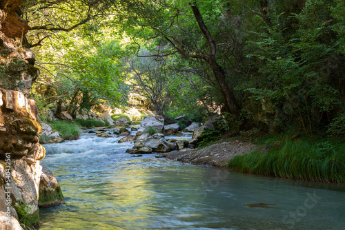 Obraz na płótnie Lousios river in Arcadia, Greece w salonie