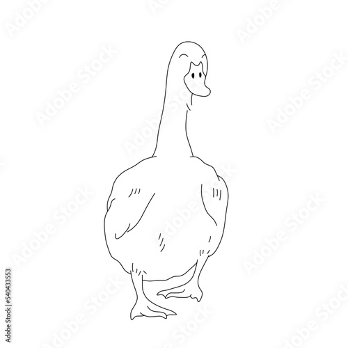Vector isolated cute cartoon funny walking goose front view colorless black and white contour line easy drawing
