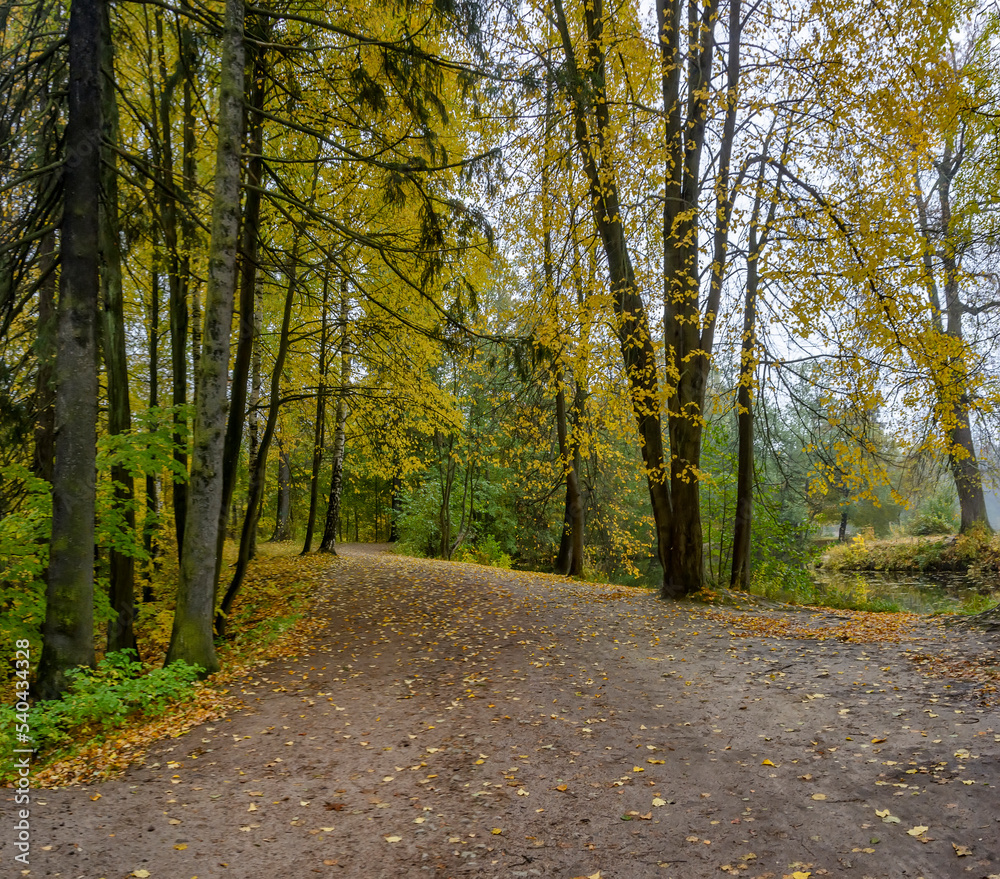 Landscapes of the Shuvalovsky Park in St. Petersburg in cloudy autumn weather.
