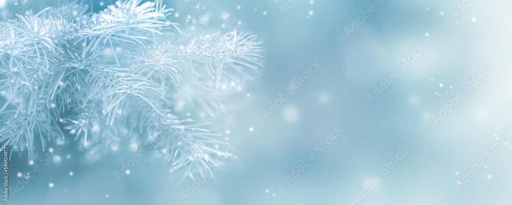 idyllic winter scene background with snowy fir tree branch on blurred blue sky, beautiful abstract greeting card concept with copy space for christmas or happy new year holidays