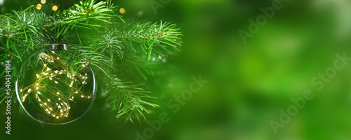 transparent christmas ball with shiny lights hanging on green christmas tree branch on blurred empty background, greeting card concept with copy space for holiday season in december