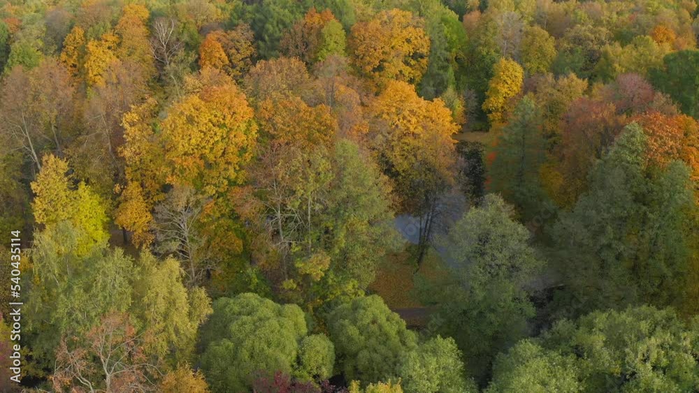 Top view of the drone descends to the ground on the autumn trees with yellow leaves, a pond and a path in the park. Autumn in the park. Top view of the drone descends to the ground on the autumn trees with yellow leaves, a pond and a path in the park. Autumn in the park.