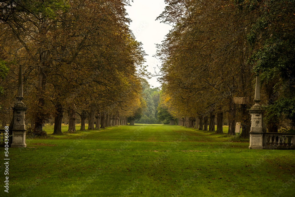 path in the park