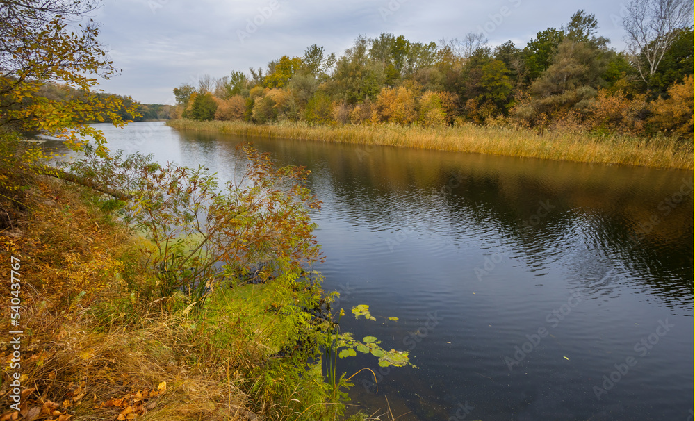 calm river with forest on the coast, quiet autumn landscape calm river with forest on the coast, quiet autumn landscape