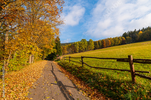 Landscape, Autumn, forester, tree, Šumava, 