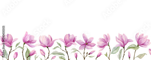 Floral Border with pink Magnolia Flowers. Flower Seamless line. Hand drawn Background for invitation or banner. Pattern on transparent background © Alisles