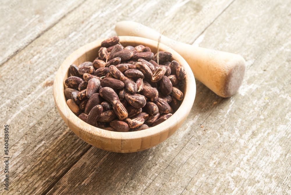 Fototapeta premium freshly picked pine nuts with shell