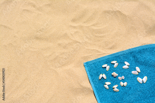Towel and seashells on sand, top view with space for text. Beach accessory