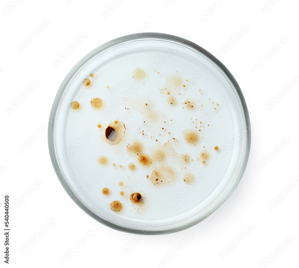 Petri dish with bacteria colony isolated on white, top view Petri dish with bacteria colony isolated on white, top view