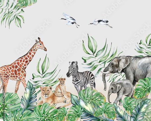 Fototapeta zwierzęta tropikalne