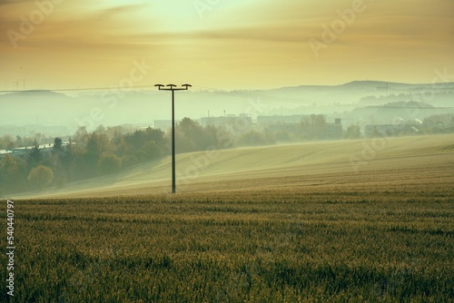 power line in a summer field in the early morning foggy morning