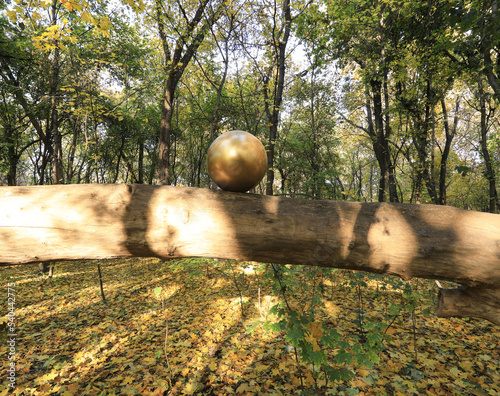 autumn forest with fallen leaves,decorative golden balls