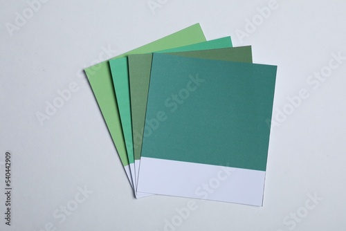 Color sample cards of green shades on light background, top view photo