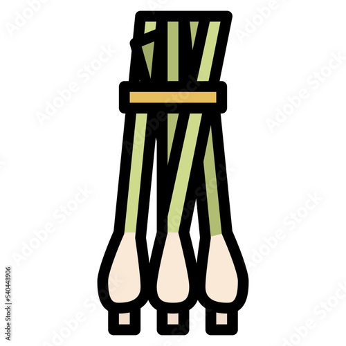 lemongrass herb and spice