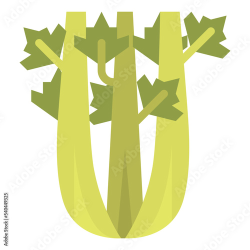 celery herb and spice