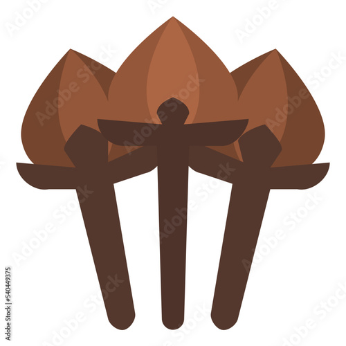 cloves herb and spice