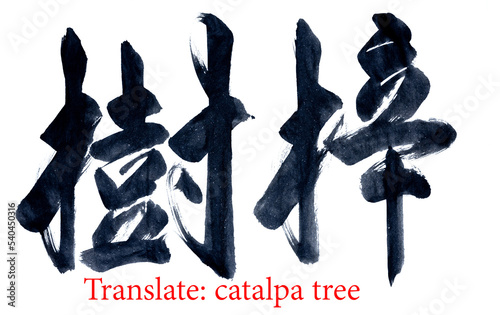 Chinesee characters, handwriting, the meaning is catalpa tree. photo