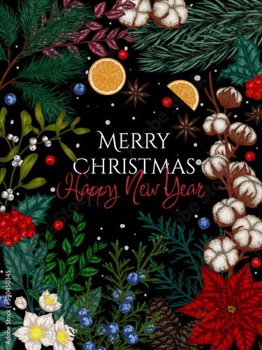 Vector card with Christmas plants. Christmas tree branch with cones, pine, holly, thuja, mistletoe, cotton, poinsettia, hellebore, cotoneaster, juniper