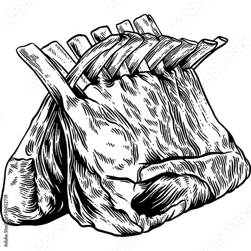 Hand drawn Rack of Lamb Raw Meat Sketch Illustration