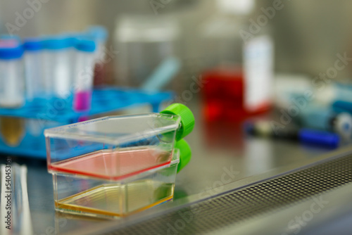 Canvas-taulu cell culture at the medicine and cell culture laboratory