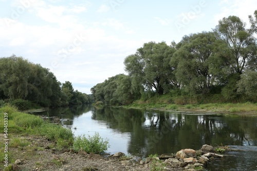 Picturesque view of clean river and trees in countryside