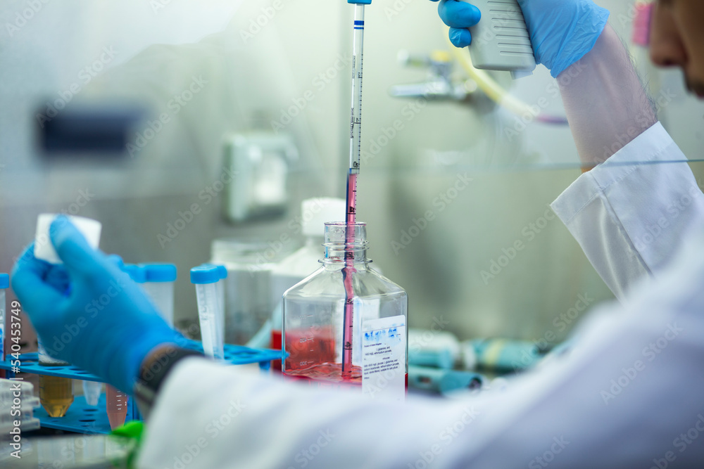 cell culture at the medicine and cell culture laboratory cell culture at the medicine and cell culture laboratory