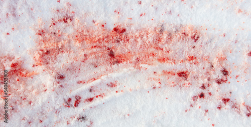 Drops of blood on white snow