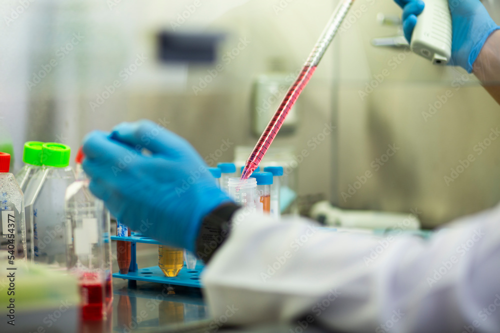cell culture at the medicine and cell culture laboratory cell culture at the medicine and cell culture laboratory
