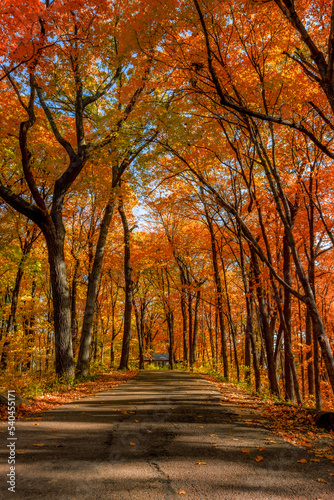 Fal color in Minnesota