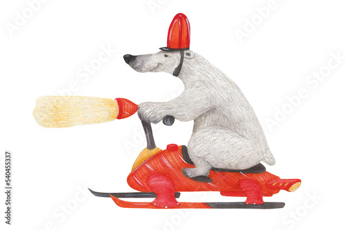 Polar bear drives on a snowmobile