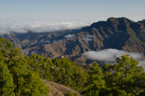 Integral Natural Reserve of Inagua and Tamadaba Natural Park in the background. Gran Canaria. Canary Islands. Spain.