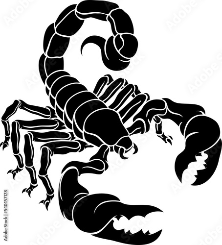 Scorpion Scorpio Zodiac Sig...