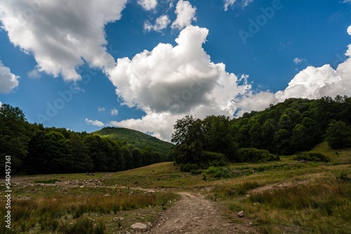 mountain summer landscape