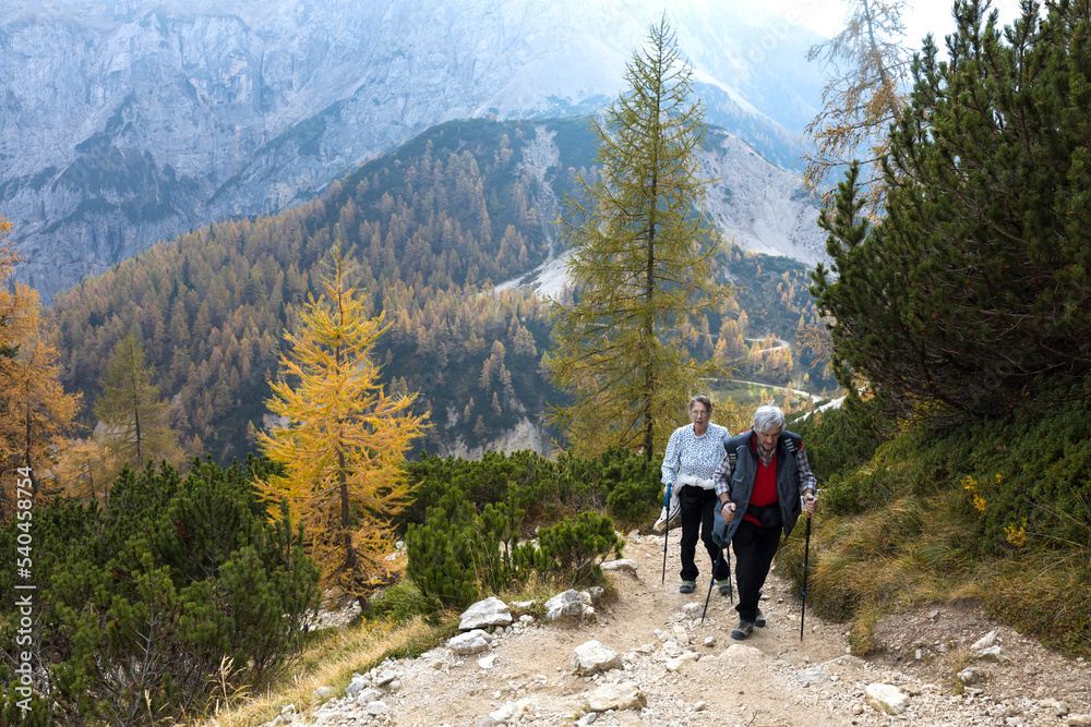 Caucasian Senior Couple Determination on Hiking a Slope in Autumn Mountains