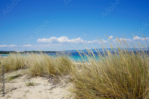 Fototapeta Naklejka Na Ścianę i Meble -  Mediterranean sand dunes on the beach summer 2022