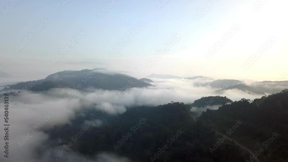 Stunning aerial view of the steep slopes and dense forests. Drone flight above low hanging clouds blanketing a valley view from right to left Stunning aerial view of the steep slopes and dense forests. Drone flight above low hanging clouds blanketing a valley view from right to left