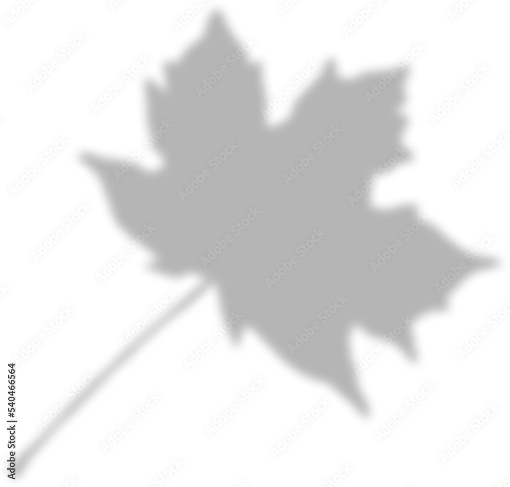 Leaf Shadow Overlay Leaf Shadow Overlay
