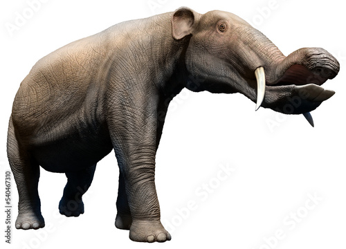 Platybelodon from the Miocene era 3D illustration	 photo