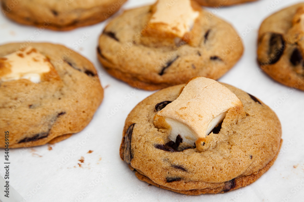 Delicious chocolate chip cookie with marshmallow, S'mores Delicious chocolate chip cookie with marshmallow, S'mores