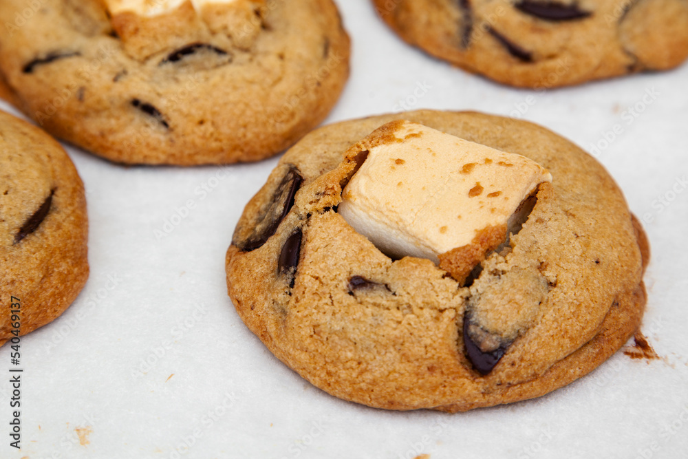 Delicious chocolate chip cookie with marshmallow, S'mores Delicious chocolate chip cookie with marshmallow, S'mores