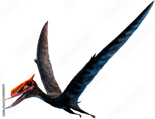 Fototapeta Naklejka Na Ścianę i Meble -  Dsungaripterus from the Cretaceous era 3D illustration	