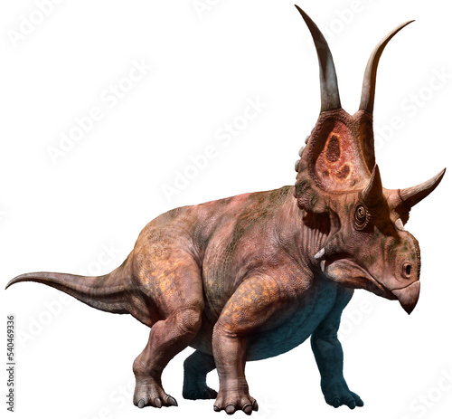 Fototapeta Naklejka Na Ścianę i Meble -  Diabloceratops from the Cretaceous era 3D illustration	