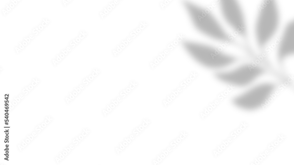 Nature Leaf Shadow Overlay Horizontal Background Nature Leaf Shadow Overlay Horizontal Background