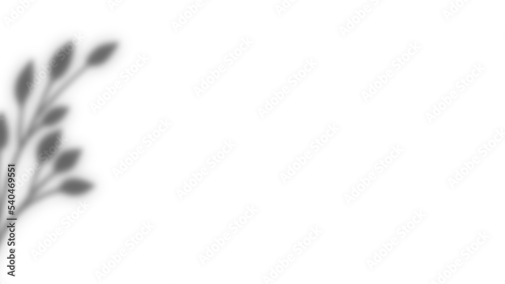 Nature Leaf Shadow Overlay Horizontal Background Nature Leaf Shadow Overlay Horizontal Background