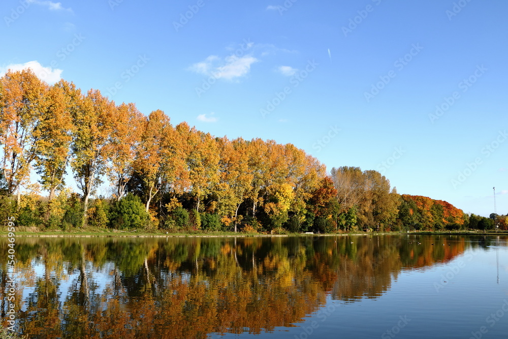 autumn colors in parc Schoonhoven, Aarschot. autumn colors in parc Schoonhoven, Aarschot.