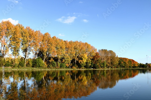 autumn colors in parc Schoonhoven, Aarschot.