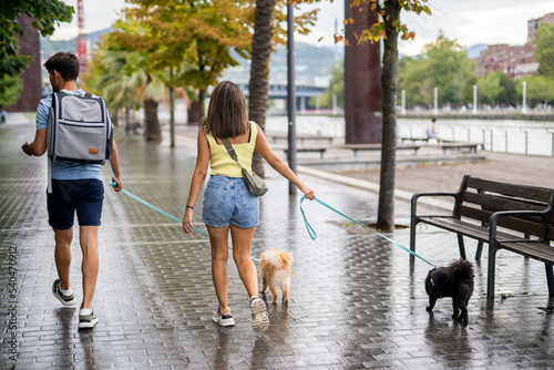 Canvas Print A young happy caucasian couple walking their dogs in a cloudy day in Spain in Bi