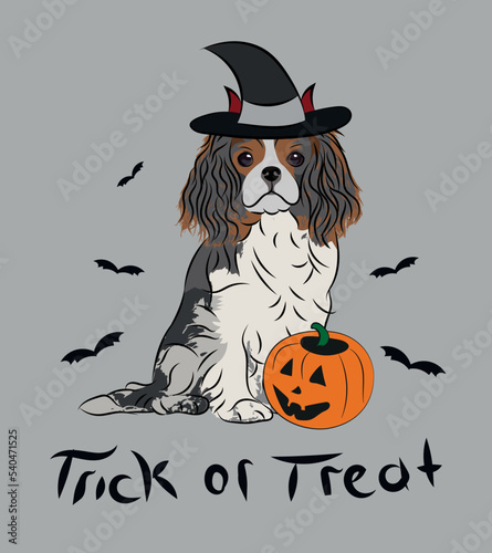 Dog Halloween greeting card with a sitting Cavalier King Charles Spaniel dog. Dog in a costume, pumpkin in a paw. Postcard for pet lovers. Pet character postcard art. Funny dog mascot. Witch spooky.