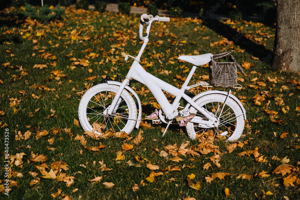 A beautiful children's white painted bicycle with a basket and sandals on the pedals stands in the autumn park on the green grass with yellow maple leaves. Photography, decor.