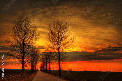 Landscape road and trees red sky in sundown  dark warm sky  Poland Europe